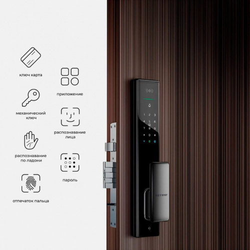 Умный замок премиум-класса KEYWAY SL500 (3)