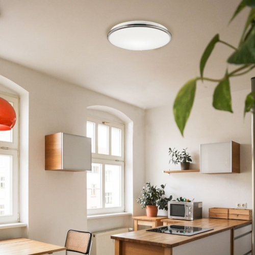 Потолочный светильник LuxoLight FRISBI LUX0300020 (2)
